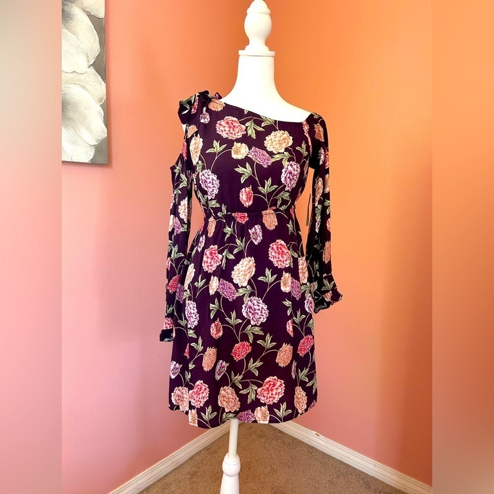 Anthropologie Coldshoulder botanical romantic feminine bohochic mini dress NWT S